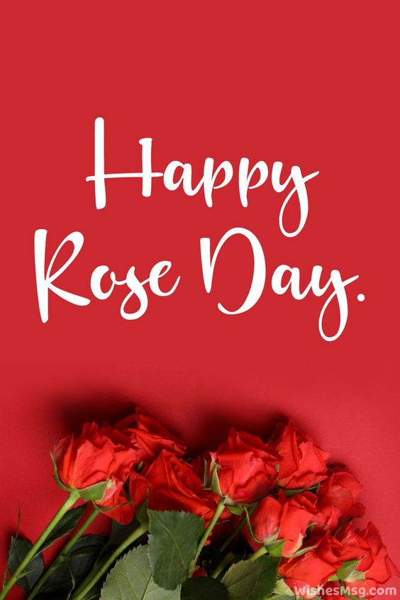 Happy Rose Day Images